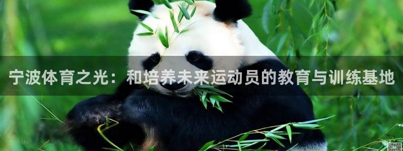 J9官方正版app集团E.ON:宁波体育之光:和培养未来运动