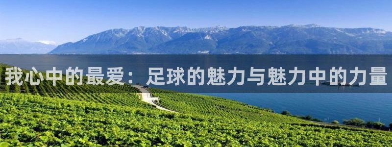 J9官方正版app神州:我心中的最爱:足球的魅力与魅力中的力