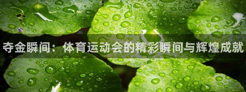 J9官网下载招商电话号码查询:夺金瞬间:体育运动会的精彩瞬间