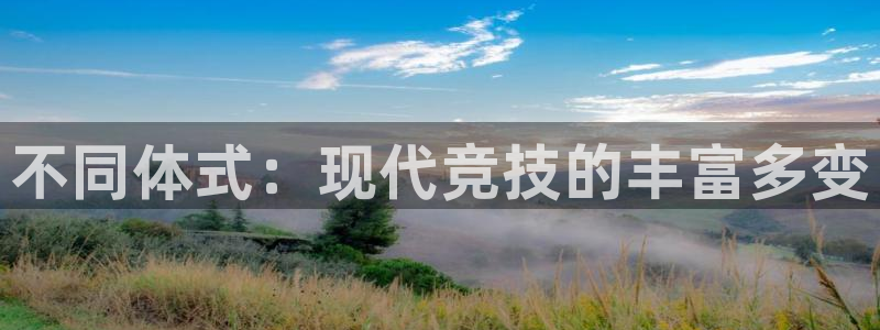 J9官方正版app集团E.ON:不同体式:现代竞技的丰富多变