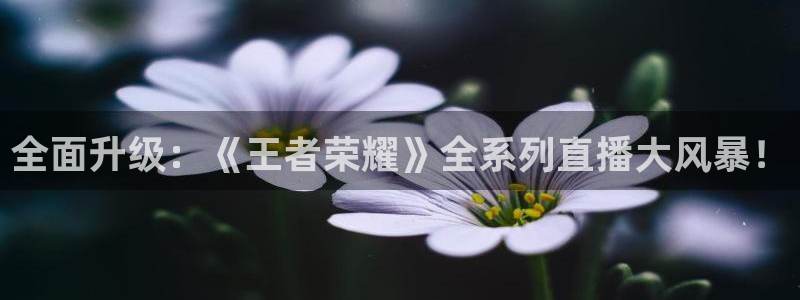 qy球友会体育网站：全面升级：《王者荣耀》全系列直播大风暴！